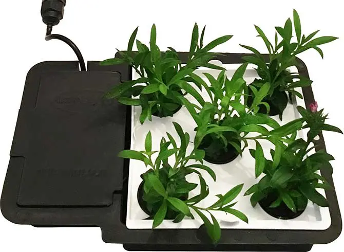 Autopot Aquaplate - Hydroponic Systems 1
