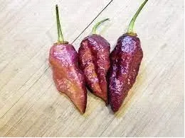 Bbg7 Dream 7 Pod Bubblegum - Chilli Pepper - Capsicum Chinense - 5 Seeds 1