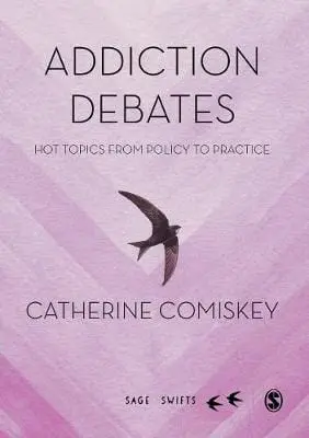 Catherine Comiskey: Addiction Debates [2019] Hardback 1