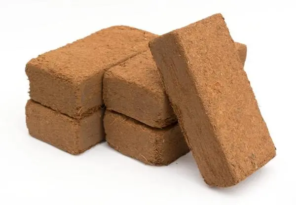 Coco Peat / Coir - 600G Compressed Bricks 1