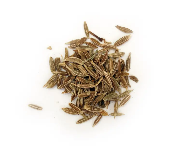 Cumin - Planting / Microgreen Seeds 1