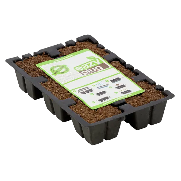 Eazyplug Plugs - Seedling / Cutting Trays With Plugs 1