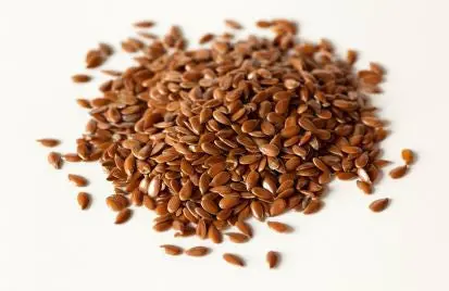 Flax - Sprouting / Microgreen Seeds 1