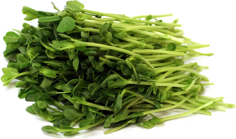 Green Peas - Sprouting / Microgreen Seeds 1