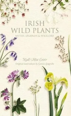 Niall Maccoitir: Irish Wild Plants [2008] Paperback 1