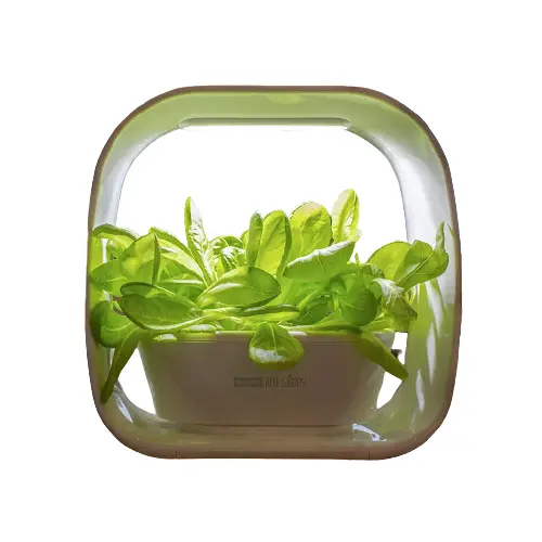 Plant!T Hydroponic Herb Garden - White 1